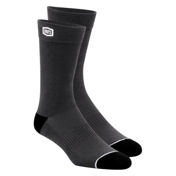 100%® - Solid Socks (Large/X-Large, Gray)