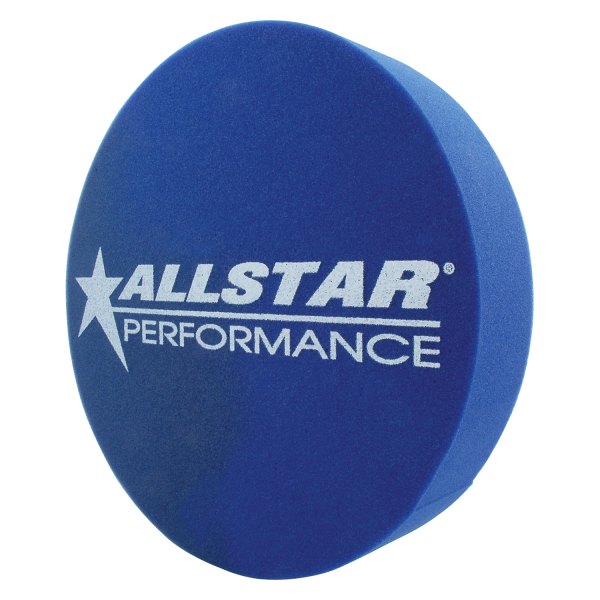 AllStar Performance® - Blue Foam Wheel Mud Plug