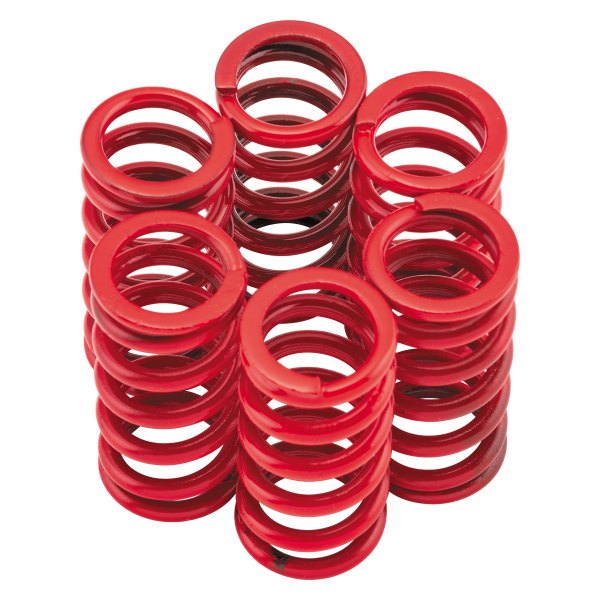 Clutches® 5019906091 Clutch Spring Kit
