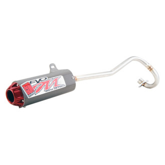 Big Gun Exhaust® - EVO M™ 1-1 Exhaust System