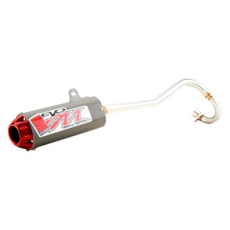 Big Gun Exhaust® - EVO M™ 1-1 Aluminum Exhaust System