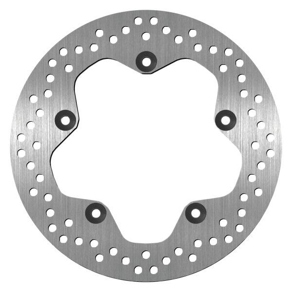BikeMaster® - Rear Stainless Steel Brake Rotor