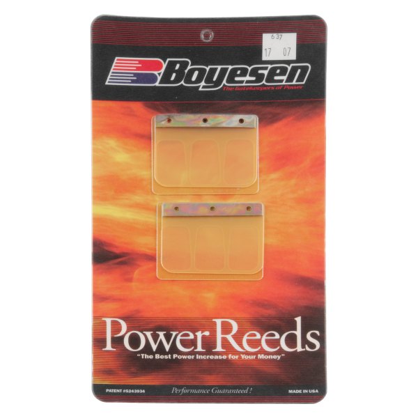 Boyesen® - Power Reeds
