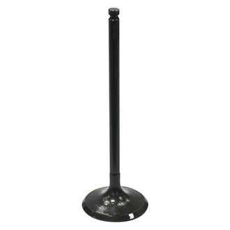 Bronco ATV® - Intake Valve