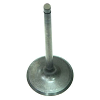 Bronco ATV® - Intake Valve