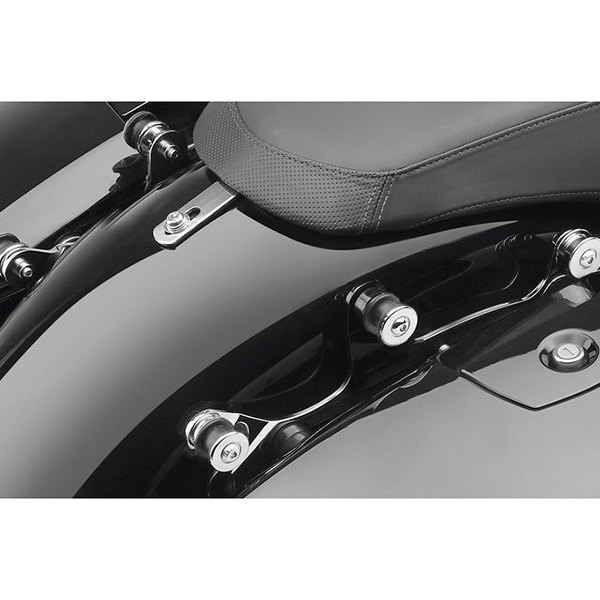Cobra USA® - Chrome Detachable Backrests Mount Kit