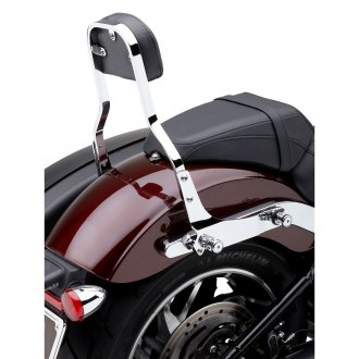 2020 sport glide sissy bar