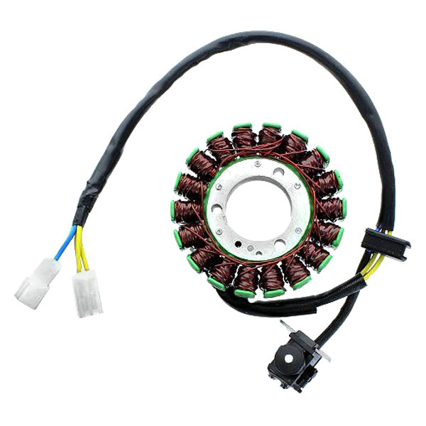 ElectroSport® ESG218 - 3-Phase Stator - MOTORCYCLEiD.com