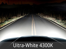 EVO Lighting Halogen Bulbs Installed - Ultra White