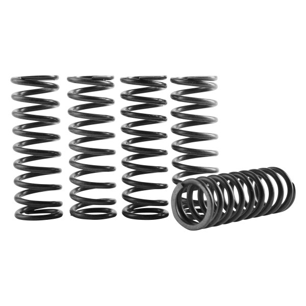 Hinson Clutch Components® - Hi-Temp Clutch Spring Kit