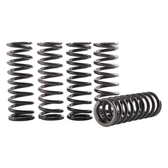 Hinson Clutch Components® - Hi-Temp Clutch Spring Kit