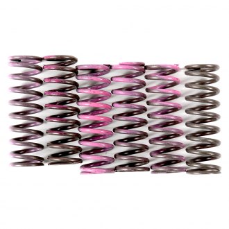 Hinson Clutch Components® - Hi-Temp Clutch Spring Kit