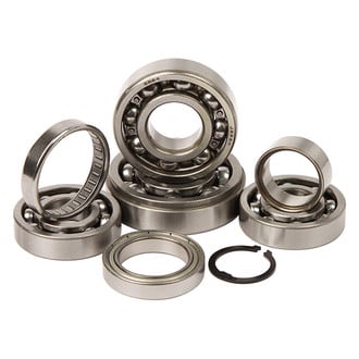 Hot Rods® - Transmission Bearing Kit