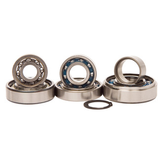 Hot Rods® - Transmission Bearing Kit