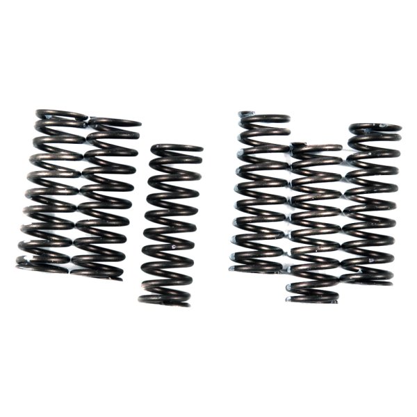 KG Powersports® - Clutch Spring Kit