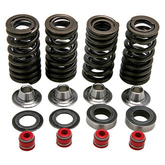 Kibblewhite® - Racing Valve Spring Kit