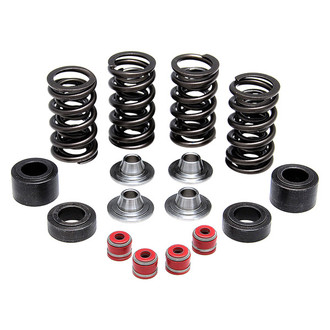 Kibblewhite® - Racing Valve Spring Kit