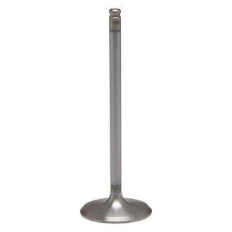 Kibblewhite® - Stainless Steel Standard Intake Valve