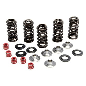 Kibblewhite® - Racing Valve Spring Kit