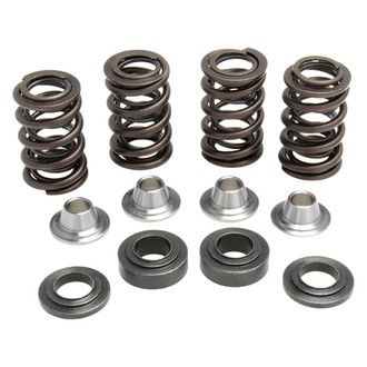 Kibblewhite® - Racing Valve Spring Kit