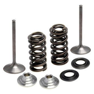 Kibblewhite® - Valve Spring Kit