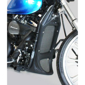 vulcan 900 radiator cover