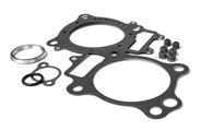 Engine Gaskets & Seals Thumbnail