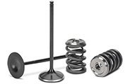 Valves & Valve Train Parts Thumbnail