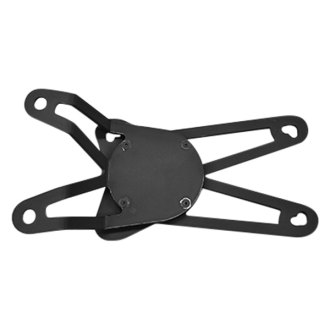 diavel fender eliminator