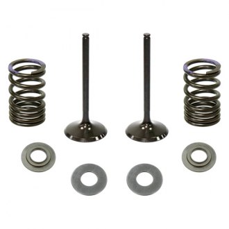 Details about  / Steel Intake Valve And Spring Kit~2014 KTM 250 SX-F Pro X 28.SIS6333-2