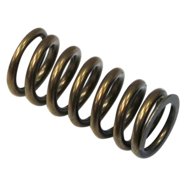 Outlaw Racing® - High Performance Stainless Steel Valve Spring