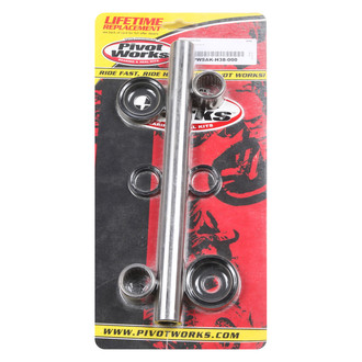 Pivot Works® - Swing Arm Bearing Kit