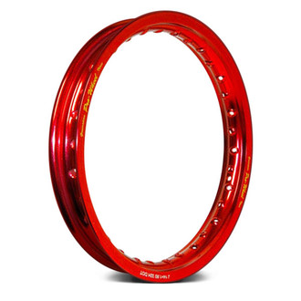 Pro-Wheel® - Rear Mini Bike Rim
