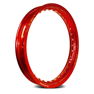 Pro-Wheel® - Rear Mini Bike Rim