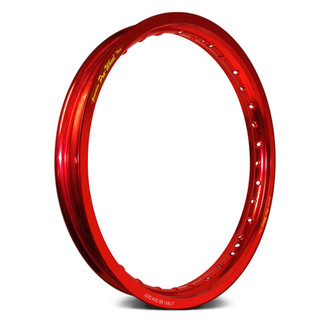 Pro-Wheel® - Closeout Rear Big Bike Rim