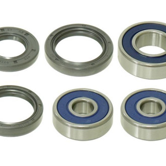Psychic Motorsports® - Rear Wheel Bearing Kit
