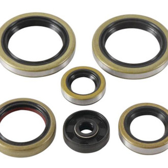 Psychic Motorsports® - Engine Oil Seal Kit