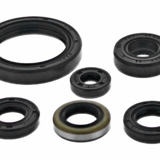 Psychic Motorsports® - Engine Oil Seal Kit
