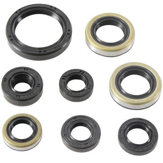Psychic Motorsports® - Engine Oil Seal Kit