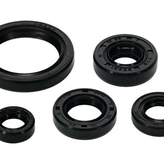 Psychic Motorsports® - Engine Oil Seal Kit