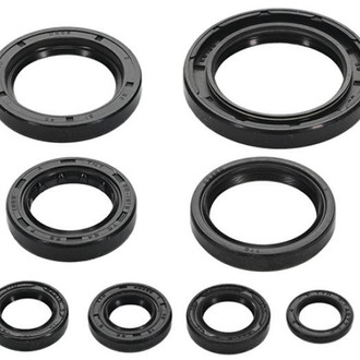Psychic Motorsports® - Engine Oil Seal Kit