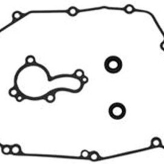 Psychic Motorsports® - Water Pump Repair Kit