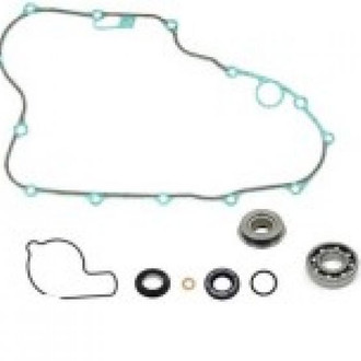 Psychic Motorsports® - Waterpump Repair Kit