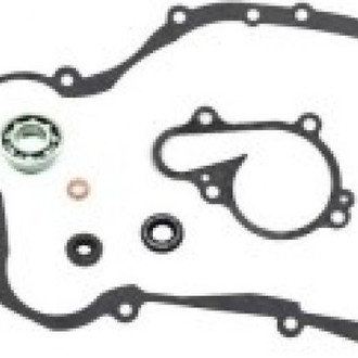Psychic Motorsports® - Waterpump Repair Kit