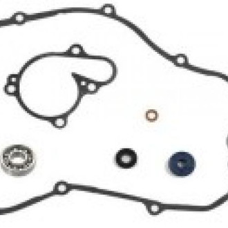 Psychic Motorsports® - Waterpump Repair Kit