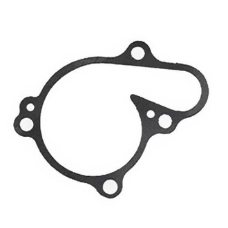Psychic Motorsports® - Water Pump Cover Gasket
