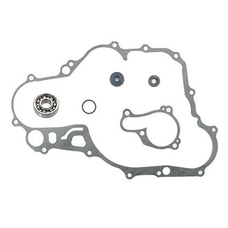 Psychic Motorsports® - Waterpump Repair Kit