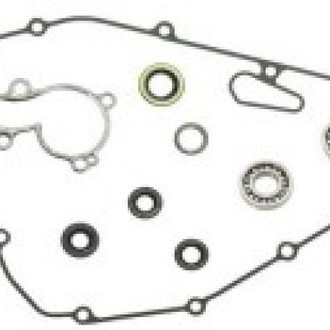 Psychic Motorsports® - Waterpump Repair Kit