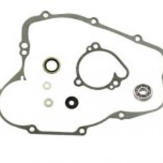 Psychic Motorsports® - Waterpump Repair Kit
