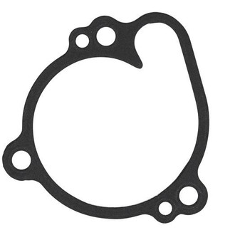 Psychic Motorsports® - Water Pump Cover Gasket
